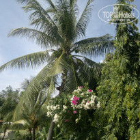 фото из отзыва ID 866600