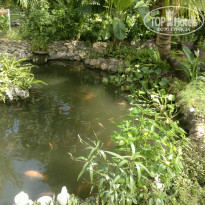 фото из отзыва ID 866600