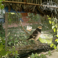 фото из отзыва ID 866600