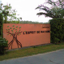 фото из отзыва ID 866868