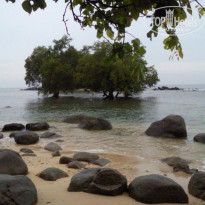 фото из отзыва ID 866868