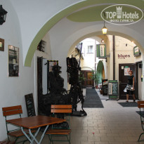 фото из отзыва ID 866898