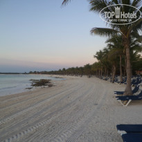 фото из отзыва ID 866948