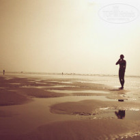 фото из отзыва ID 867073