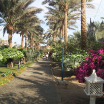 фото из отзыва ID 867184