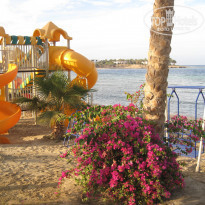 фото из отзыва ID 867184