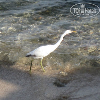 фото из отзыва ID 867184