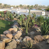 фото из отзыва ID 867184