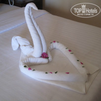 фото из отзыва ID 867184