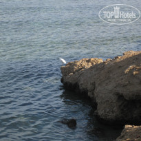 фото из отзыва ID 867184