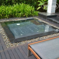 фото из отзыва ID 867218