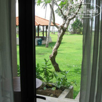 фото из отзыва ID 867258