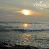 фото из отзыва ID 867263