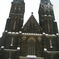 фото из отзыва ID 867319