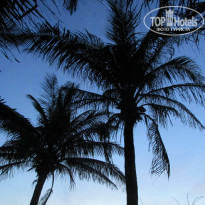 фото из отзыва ID 867447