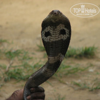 фото из отзыва ID 867481