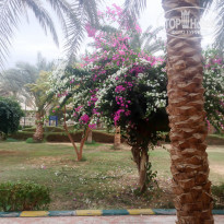 фото из отзыва ID 867571