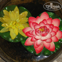 фото из отзыва ID 867573