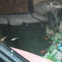 фото из отзыва ID 867574