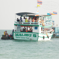 фото из отзыва ID 867574