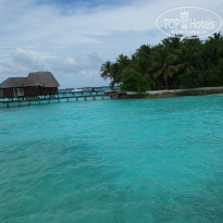 фото из отзыва ID 867643