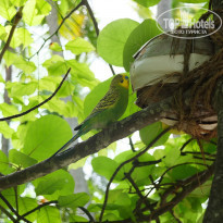 фото из отзыва ID 867643