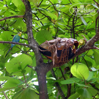 фото из отзыва ID 867643