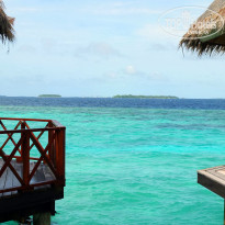 фото из отзыва ID 867643