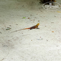 фото из отзыва ID 867643