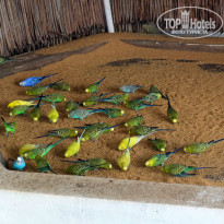 фото из отзыва ID 867643