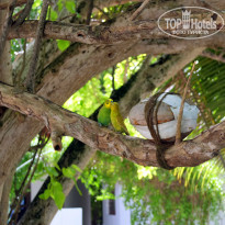 фото из отзыва ID 867643