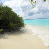 фото из отзыва ID 867643