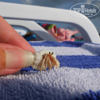 фото из отзыва ID 867643