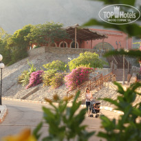 фото из отзыва ID 867653