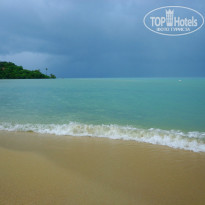 фото из отзыва ID 867691