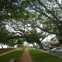 фото из отзыва ID 867753