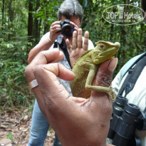 фото из отзыва ID 867753