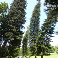 фото из отзыва ID 867753