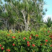 фото из отзыва ID 867853