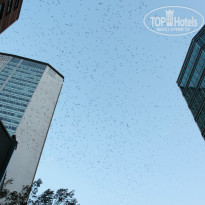 фото из отзыва ID 867897