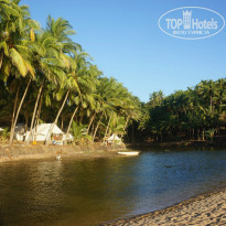 фото из отзыва ID 867205