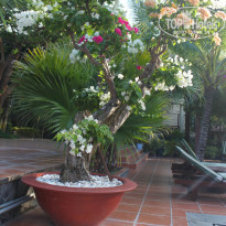 фото из отзыва ID 868027