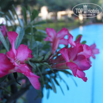 фото из отзыва ID 868027