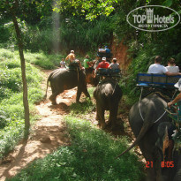 фото из отзыва ID 868105