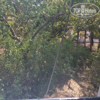 фото из отзыва ID 868438