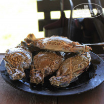 фото из отзыва ID 868600