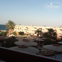 фото из отзыва ID 868762