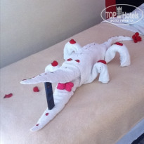 фото из отзыва ID 868762