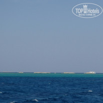 фото из отзыва ID 868762