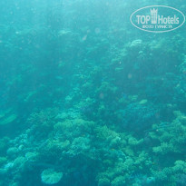 фото из отзыва ID 868762